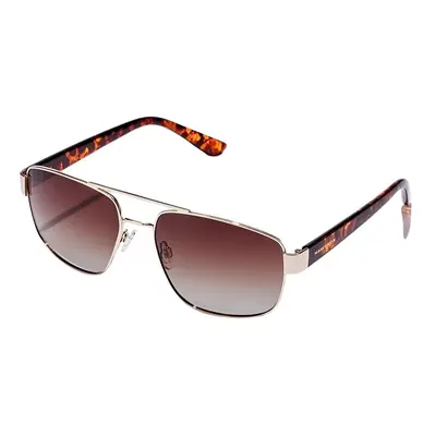 Polarized sunglasses Hawkers Falcon