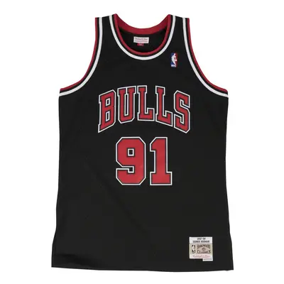 Nba jersey Chicago Bulls Dennis Rodman