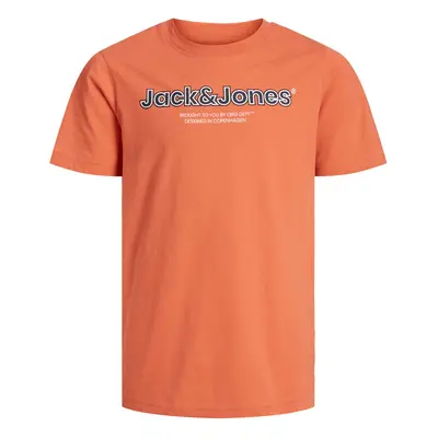 Child's T-shirt Jack & Jones Jorlakewood Branding BF