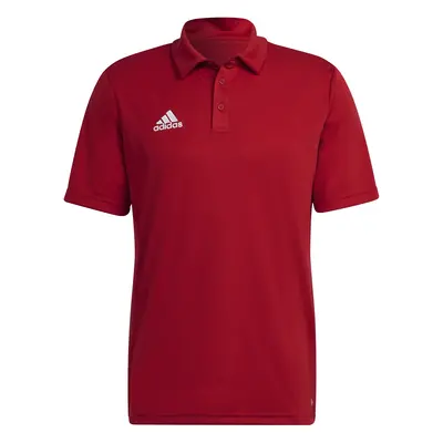 Polo shirt adidas Entrada 22