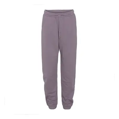 Jogging Colorful Standard Organic purple haze