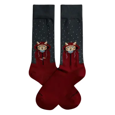 Football Socks Jimmy Lion Raining Cat