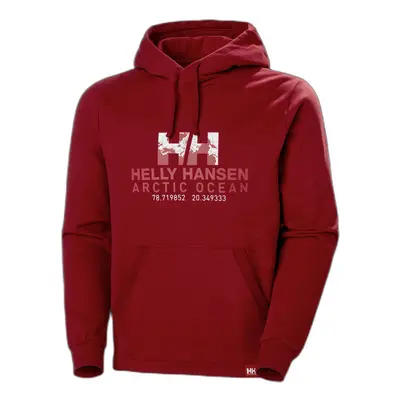 Hooded sweatshirt Helly Hansen arctic ocean