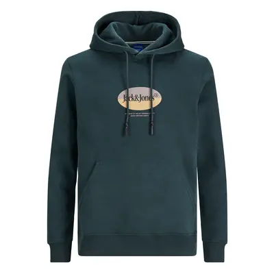 Hoodie Jack & Jones Jordalston