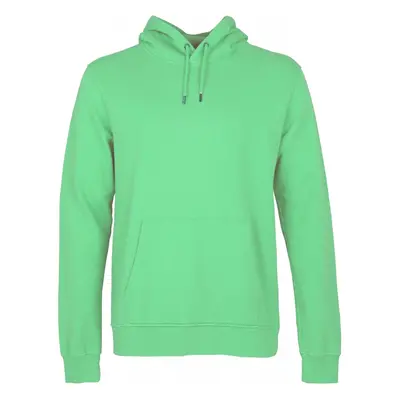 Hoodie Colorful Standard Classic Organic spring green