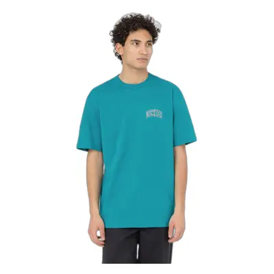 T-shirt Dickies Aitkin Chest