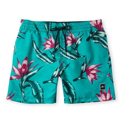 Children's shorts O'Neill Print