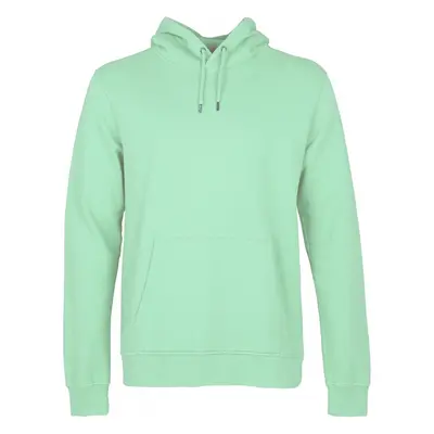 Hoodie Colorful Standard Classic Organic faded mint