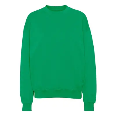 Sweatshirt Crewneck Colorful Standard Organic oversized kelly green