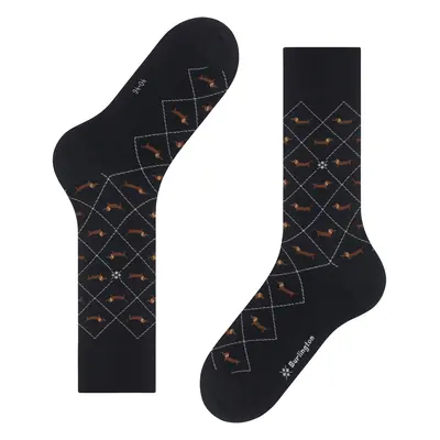 Socks Burlington Dachshund