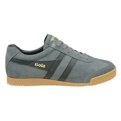 Suede Trainers Gola Harrier