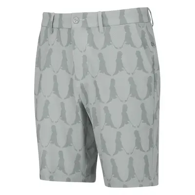 PING VAULT GOLF SHORTS - MINERAL / MULTI - 32"