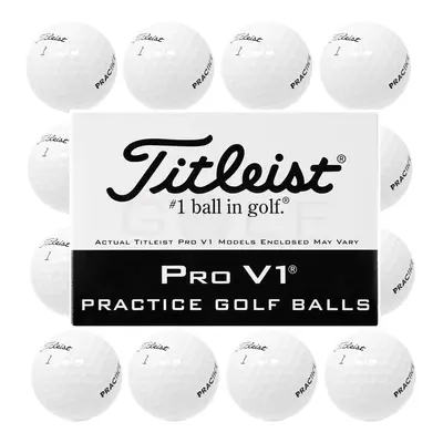 TITLEIST PRO V1 PRACTICE STAMPED GOLF BALLS - 1 Dozen