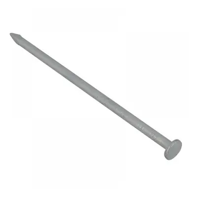 Forgefix 212NLB65GB Batten Nails Galvanised 65 X 2.65Mm (2.5Kg Bag)