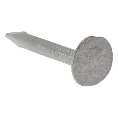 Fandf 1NLELH30GB Clout Nails Extra Large Head - Galvanised 3.00 X 30Mm (Bag Of 1Kg)