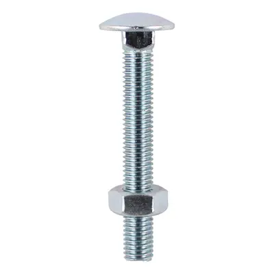 Timco 10100CBB Carriage Bolts & Hex Nuts - Zinc M10 X 100 TIMbag 24