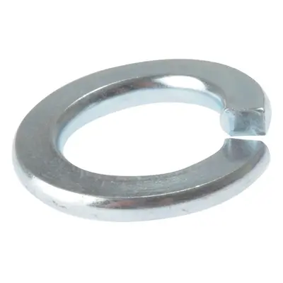 Fandf 100SW12 Spring Washers - Zinc Plated M12 (Bag Of 100)