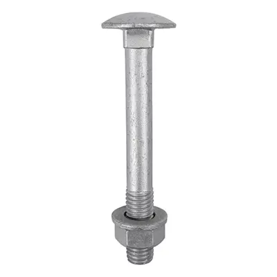 Timco 10180CBI Carriage Bolts Hex Nuts & Form A Washers - Dome - Exterior - Silver M10 X 180 Bag