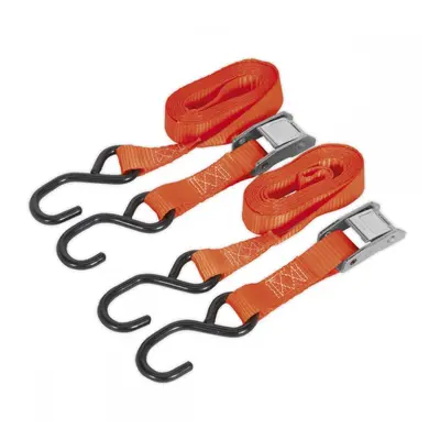 Sealey TD05025CS Cam Buckle Strap 25Mm X 2.5M Polyester Webbing With S-Hooks 500Kg Breaking Stre