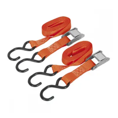 Sealey TD2525CS Cam Buckle Strap 25Mm X 2.5M Polyester Webbing With S-Hooks 250Kg Breaking Stren