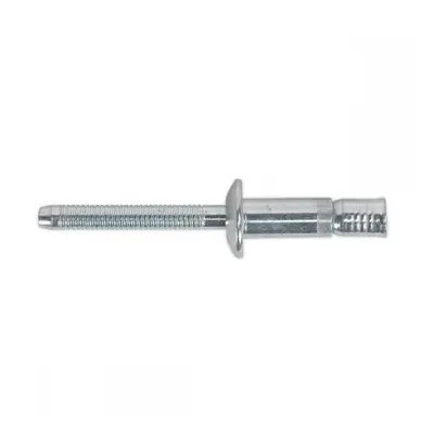 Sealey MB6323 Steel Structural Rivet Zinc Plated 6.3 X 23Mm Pack Of 100