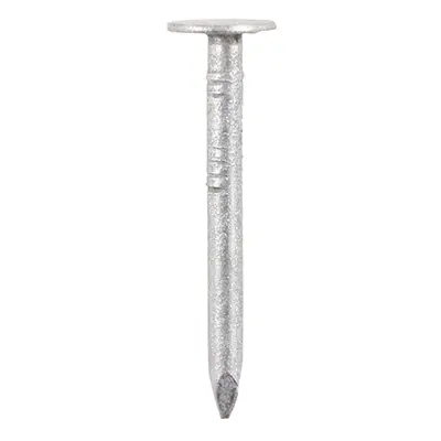 Timco GCN50B Clout Nails - Galvanised 50 X 2.65