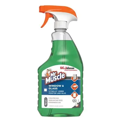 Sc Johnson Professional 354206 Mr Muscle® Window & Glass Cleaner 750Ml