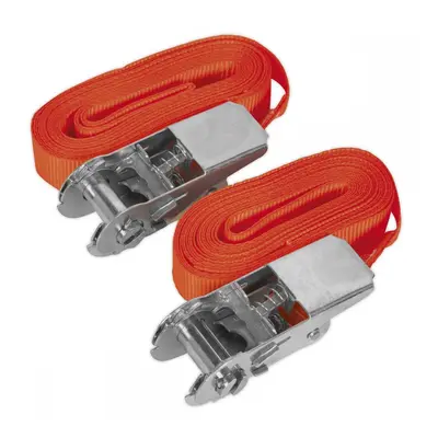 Sealey TD05045E Self-Securing Ratchet Straps 25Mm X 4.5M 500Kg Breaking Strength - Pair