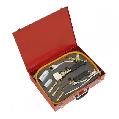 Sealey LPT14 Propane Torch Kit 14Pc