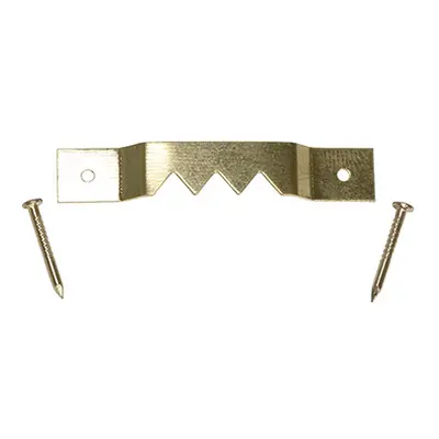 Timco MIXSTOOTHP Mixed Sawtooth Hangers And Nails - Electro Brass 41Mm & 63Mm TIMpac 15