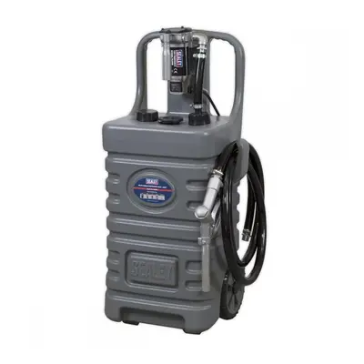 Sealey DT55GCOMBO1 Mobile Dispensing Tank 55L With Diesel Pump - Grey