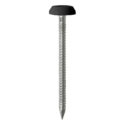 Timco PN65BL Polymer Headed Nails - A4 Stainless Steel - Black 65Mm Box 100