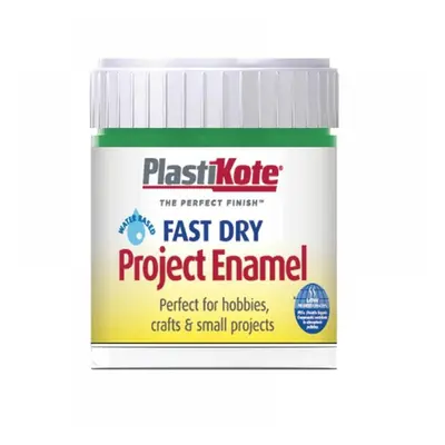 Plastikote 440009 Fast Dry Enamel Paint B9 Bottle Garden Green 59Ml