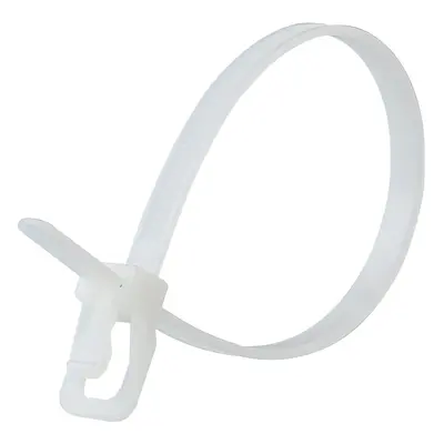 Retyz Evt-So6Nl-Ta Everytie Reusable Cable Ties In Natural 152Mm/6In (Pack Of 100)