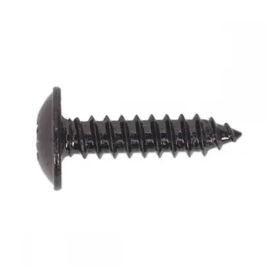 Sealey BST4819 Self-Tapping Screw 4.8 X 19Mm Flanged Head Black Pozi Pack Of 100