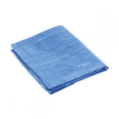 Sealey TARP2040 Tarpaulin 6.10 X 12.19M Blue