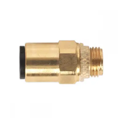 Sealey JGBC618 Brass Superthread Straight Adaptor 6Mm X 1/8inBsp Pack Of 2 (John Guest Speedfit®