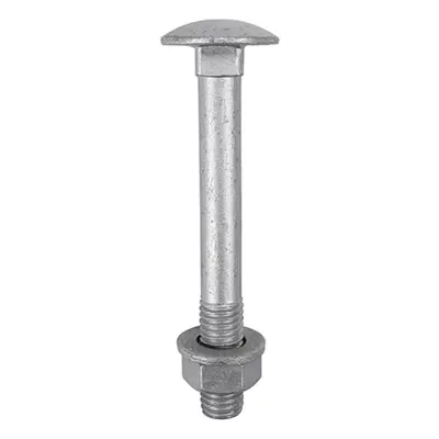 Timco 08100CBI Carriage Bolts Hex Nuts & Form A Washers - Dome - Exterior - Silver M8 X 100 Bag 