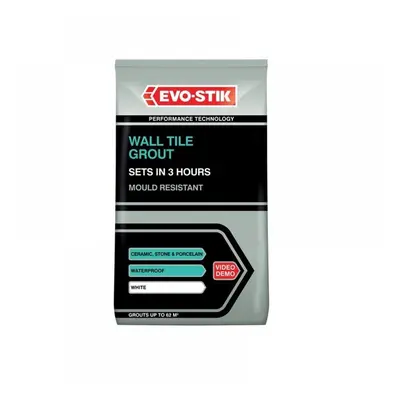 Evo-Stik 30812722 Wall Tile Grout Mould Resistant White 500G