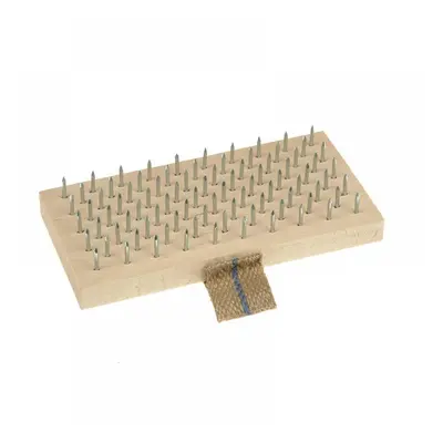 Lessmann 061.101.00 Plastererfts Brush 190 X 95Mm (Steel Pins)