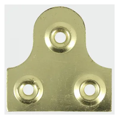 Timco PMP38P Mirror Plates - Plain - Electro Brass 38Mm TIMpac 4