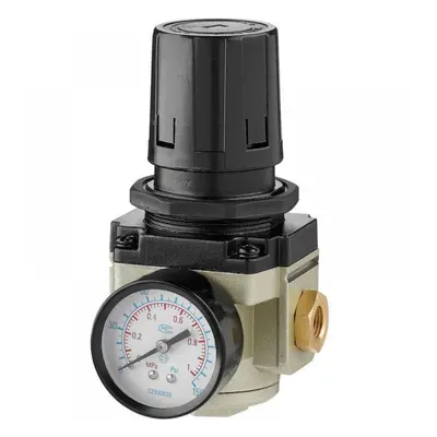 Clarke 3120167 Cat865 Air Regulator With Gauge