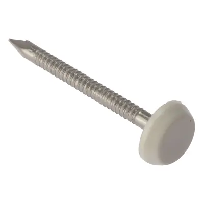 Fixings & Fasteners Cladding Pins & Nails | 50Mm | A4 Stainless Brown Plastic Head | Box 100 PN5