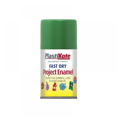 Plastikote 001040 Fast Dry Enamel Aerosol Garden Green 100Ml