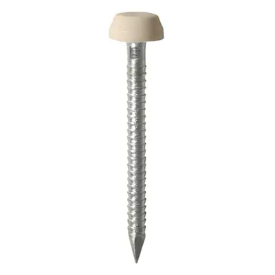 Timco PP25BEIGE Polymer Headed Pins - A4 Stainless Steel - Beige 25Mm Box 250