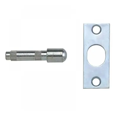 Yale Locks 710125005168 P125 Hinge Bolts Zinc