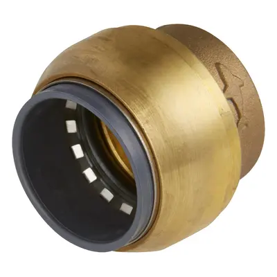 Sealey SBA22P Sharkbite® Line End Plug Ø22Mm