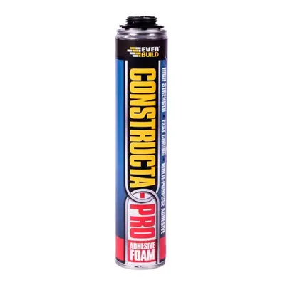 Everbuild Sika 538593 Constructa-Pro 750Ml