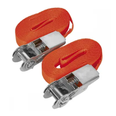 Sealey TD08045E Self-Securing Ratchet Straps 25Mm X 4.5M 800Kg Breaking Strength - Pair