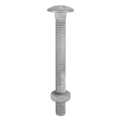 Timco 1075CBG Carriage Bolts & Hex Nuts - Hot Dipped Galvanised M10 X 75 Box 50